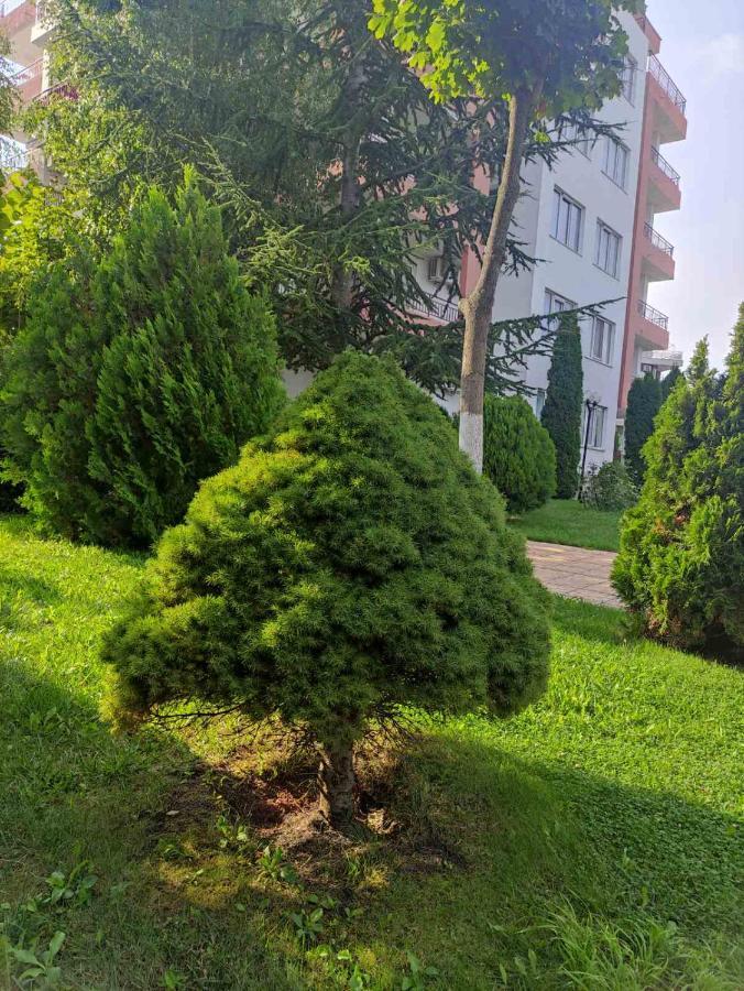 Ravda Sea View Apartment Ngoại thất bức ảnh